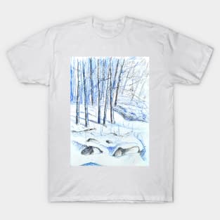 snow in new hampshire T-Shirt